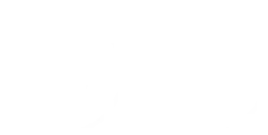 BSI 13485